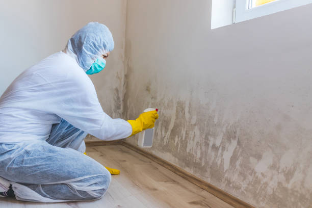 Crawl Space Mold Remediation treatment of floor joists in Clinton